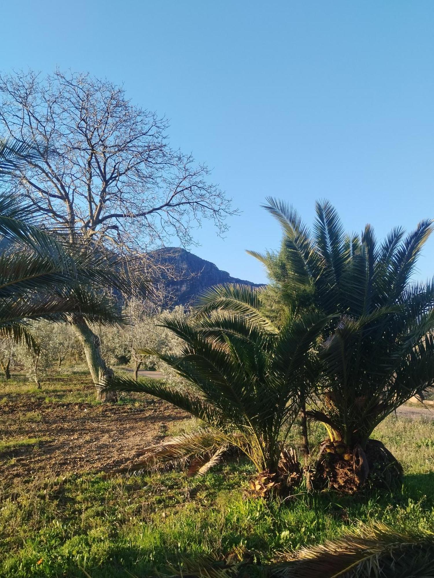 Apartmán Mas De Manresa Horta de Sant Joan Exteriér fotografie